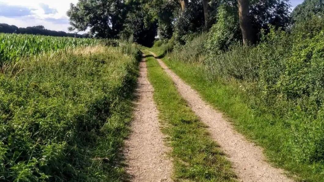 Kleine Steeg Middelaar