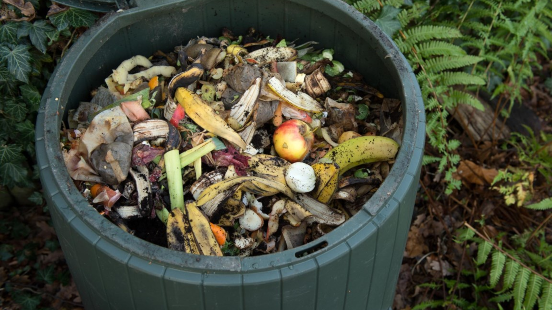 Thuis compost  correct gescheiden