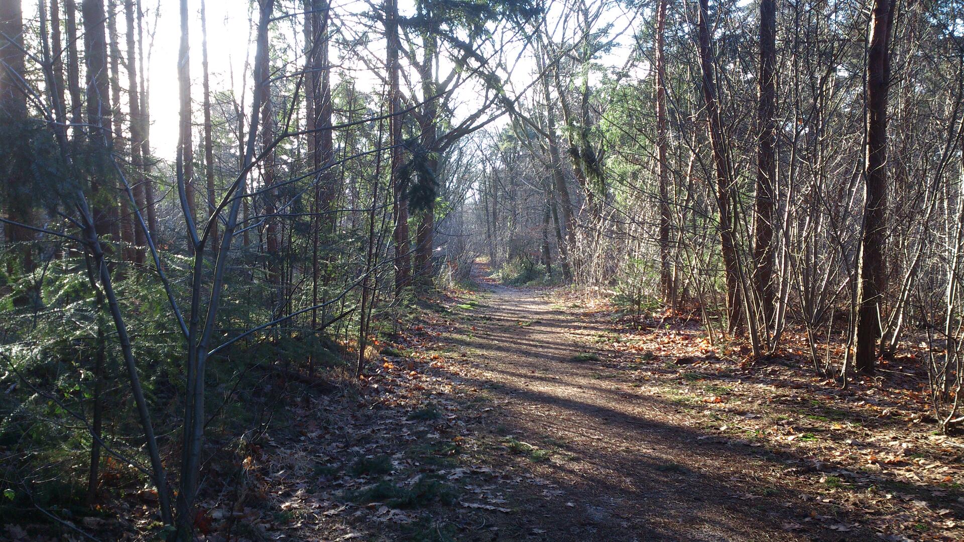 DSC_0895.jpg